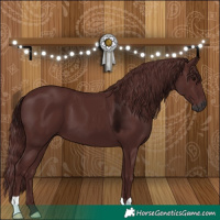Horse Color:Gray Chocolate Black