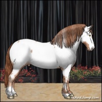 Horse Color:Gold Champagne Tobiano Near Fewspot 