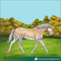 Horse Color:Silver Sable Cream Champagne Onyx Tobiano 