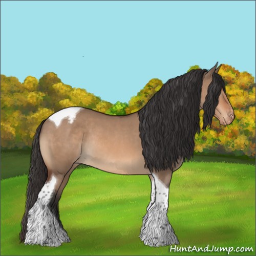Horse Color:Bay Dun Tobiano Appaloosa Rabicano