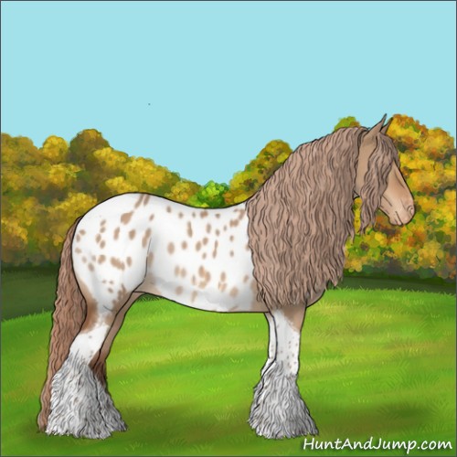 Horse Color:Red Dun Tobiano Appaloosa Rabicano 