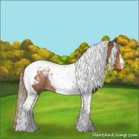Horse Color:Chestnut Tobiano Blanket Rabicano 