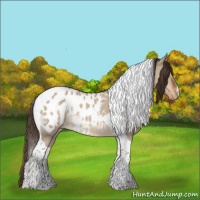 Horse Color:Liver Red Dun Tobiano Blanket Rabicano 