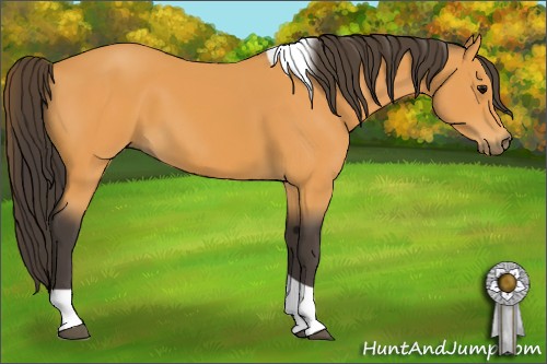 Horse Color:Buckskin Tobiano 