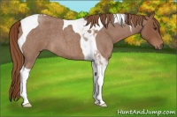 Horse Color:Red Roan Tobiano 