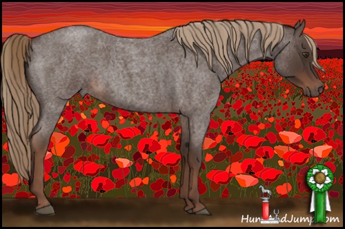 Horse Color:Liver Red Roan 