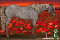 Horse Color:Liver Red Roan 