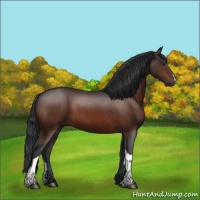 Horse Color:Brown 