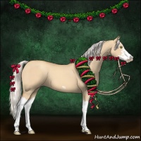 Horse Color:Silver Classic Champagne Dun Splash Frame 