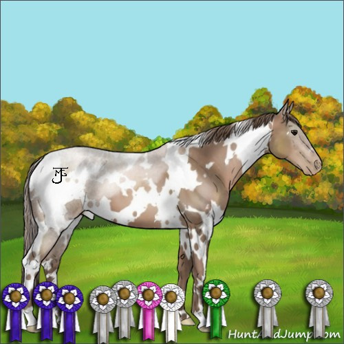Horse Color:White Spotted Black Pearl 