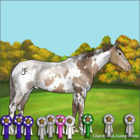 Horse Color:White Spotted Black Pearl