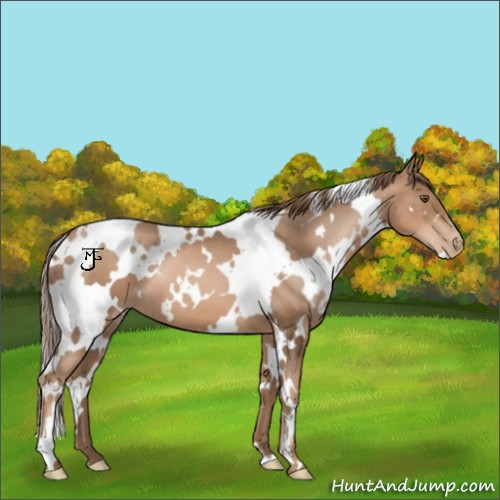 Horse Color:White Spotted Liver Chestnut Pearl 