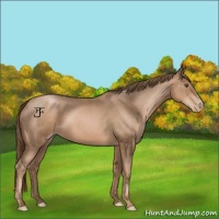 Horse Color:Liver Chestnut Pearl