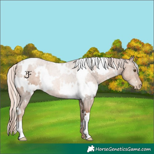 Horse Color:White Spotted Liver Chestnut Pearl 