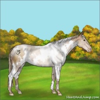 Horse Color:White Spotted Liver Chestnut Pearl 