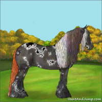 Horse Color:Nacre White Spotted Midnight Brown Ice Roan Onyx Blanket