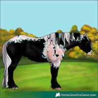 Horse Color:Watercolor White Spotted Silver Brown Ice Pearl 