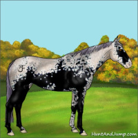 Horse Color:Watercolor White Spotted Brown Ice Pearl Dun