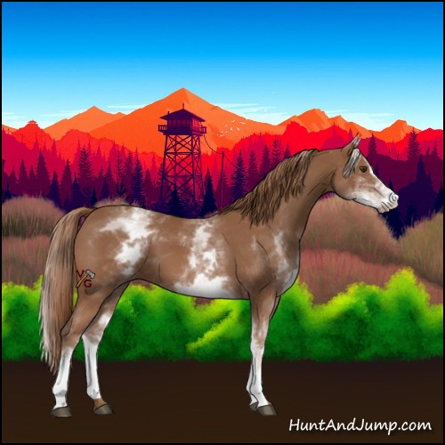 Horse Color:White Spotted Chestnut Sabino 