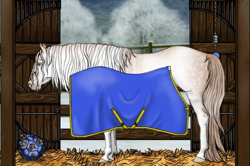 Horse Color:Gray White Spotted Gold Champagne 