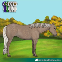 Horse Color:Silver Grullo 