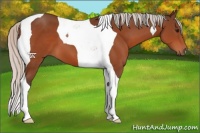 Horse Color:Silver Bay Tobiano 