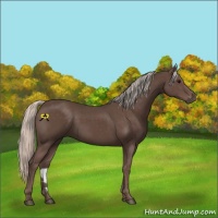 Horse Color:Silver Black 