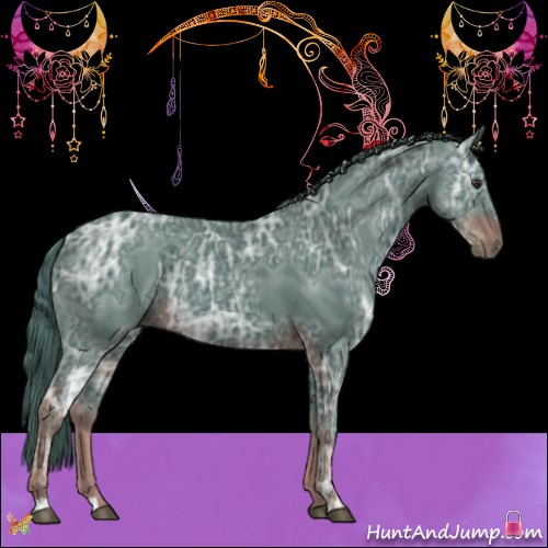 Horse Color:Watercolor Liver Chestnut Ice 