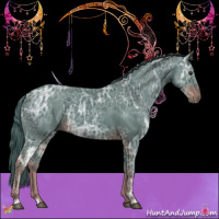 Horse Color:Watercolor Liver Chestnut Ice 