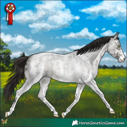 Horse Color:White Spotted Buckskin Ice Roan 