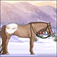 Horse Color:Chocolate Black Pearl Appaloosa 