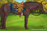 Horse Color:Chocolate Black