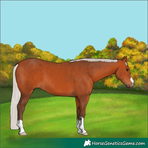 Horse Color:Silver Bay