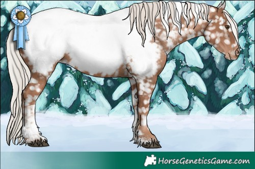 Horse Color:Silver Black Pearl Sabino Tobiano Near Fewspot
