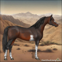 Horse Color:Brown Tobiano Frame 