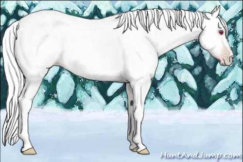 Horse Color:Gold Champagne Chinchilla Mushroom Tobiano Rabicano 