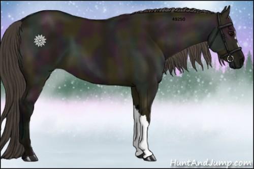 Horse Color:Midnight Smoky Grullo 