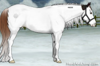 Horse Color:Midnight Chestnut Splash Tobiano 