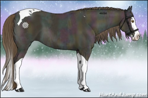 Horse Color:Midnight Classic Cream Champagne Ice Dun Splash Tobiano 