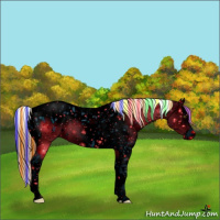 Horse Color:Painted Chestnut Ice Splash Tobiano Appaloosa Rabicano 