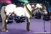 Horse Color:Silver Brown Frame Appaloosa 