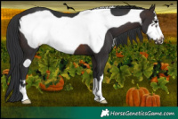 Horse Color:Brown Frame 