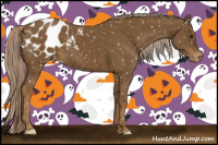 Horse Color:Chocolate Palomino Snowflake Varnish 