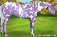 Horse Color:Chocolate Silver Sable Cream Champagne Pearl Appaloosa 