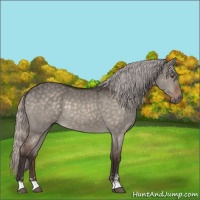 Horse Color:Silver Brown Dun Mushroom Sabino 
