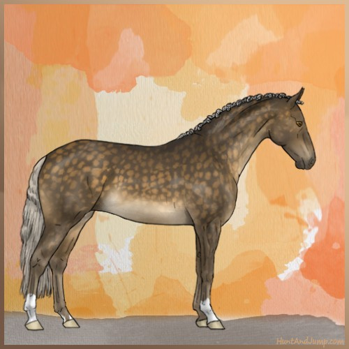 Horse Color:Silver Buckskin 