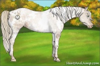 Horse Color:White Spotted Liver Chestnut Ice Pearl Blanket 