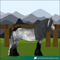 Horse Color:Void Brown Chinchilla Tobiano 