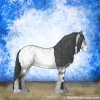 Horse Color:Brown Chinchilla Roan Onyx Appaloosa 