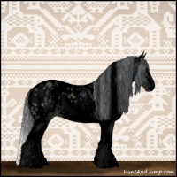 Horse Color:Void White Spotted Midnight Brown Chinchilla Onyx Tobiano Appaloosa